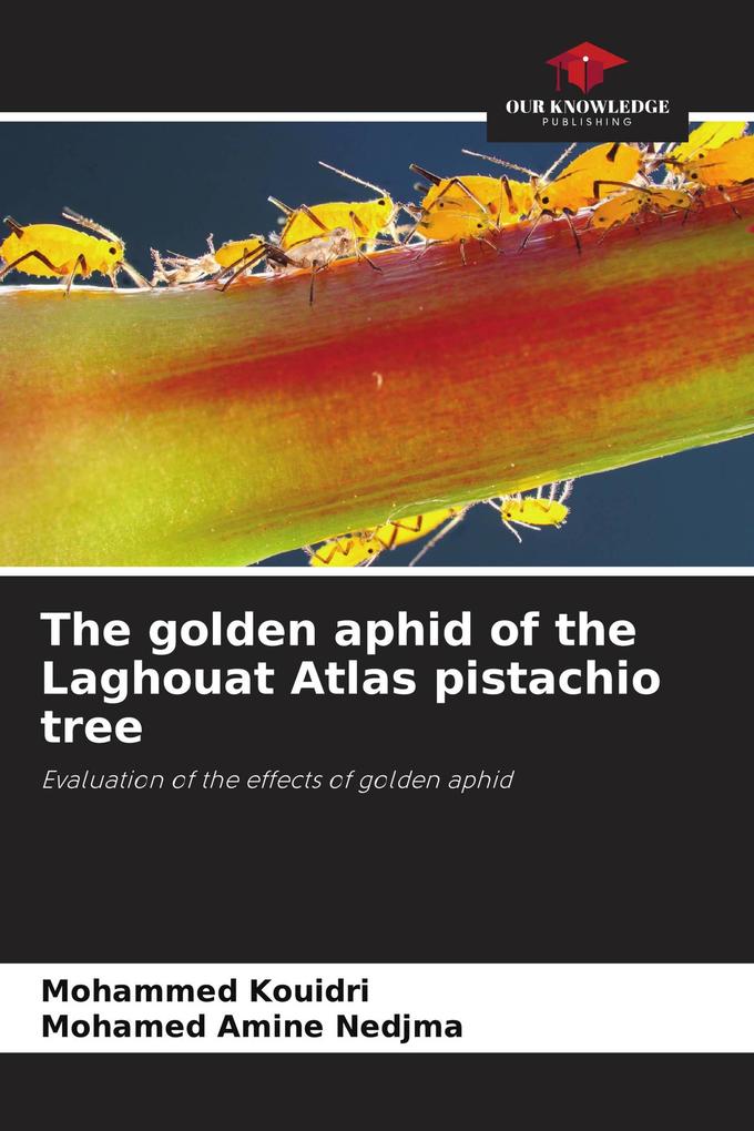 The golden aphid of the Laghouat Atlas pistachio tree