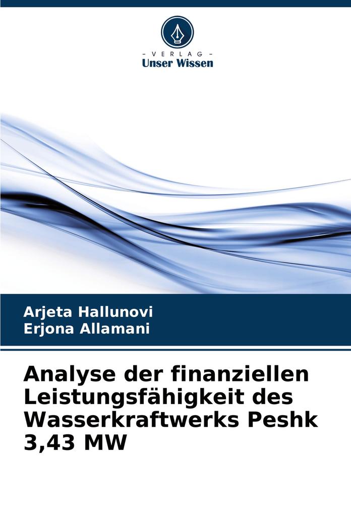 Analyse der finanziellen Leistungsfähigkeit des Wasserkraftwerks Peshk 343 MW