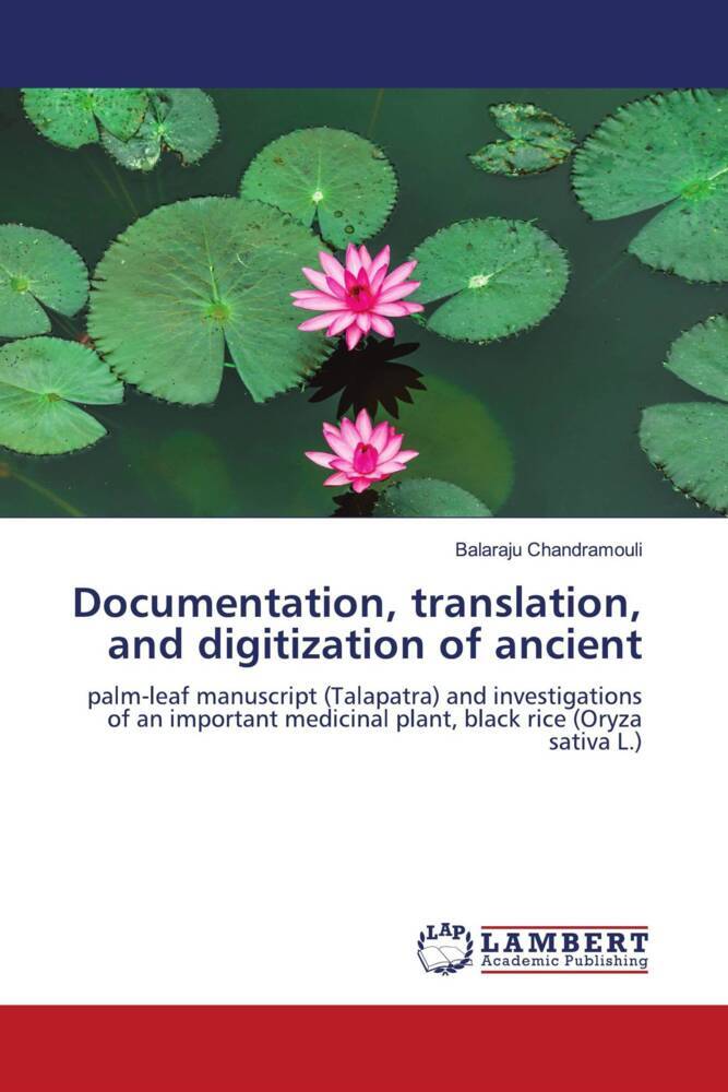 Documentation translation and digitization of ancient