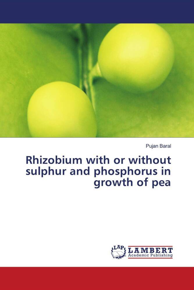 Rhizobium with or without sulphur and phosphorus in growth of pea