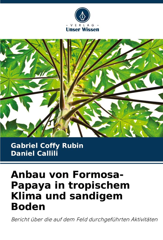 Anbau von Formosa-Papaya in tropischem Klima und sandigem Boden