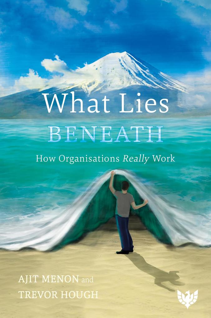 What Lies Beneath : How Organisations Really Work