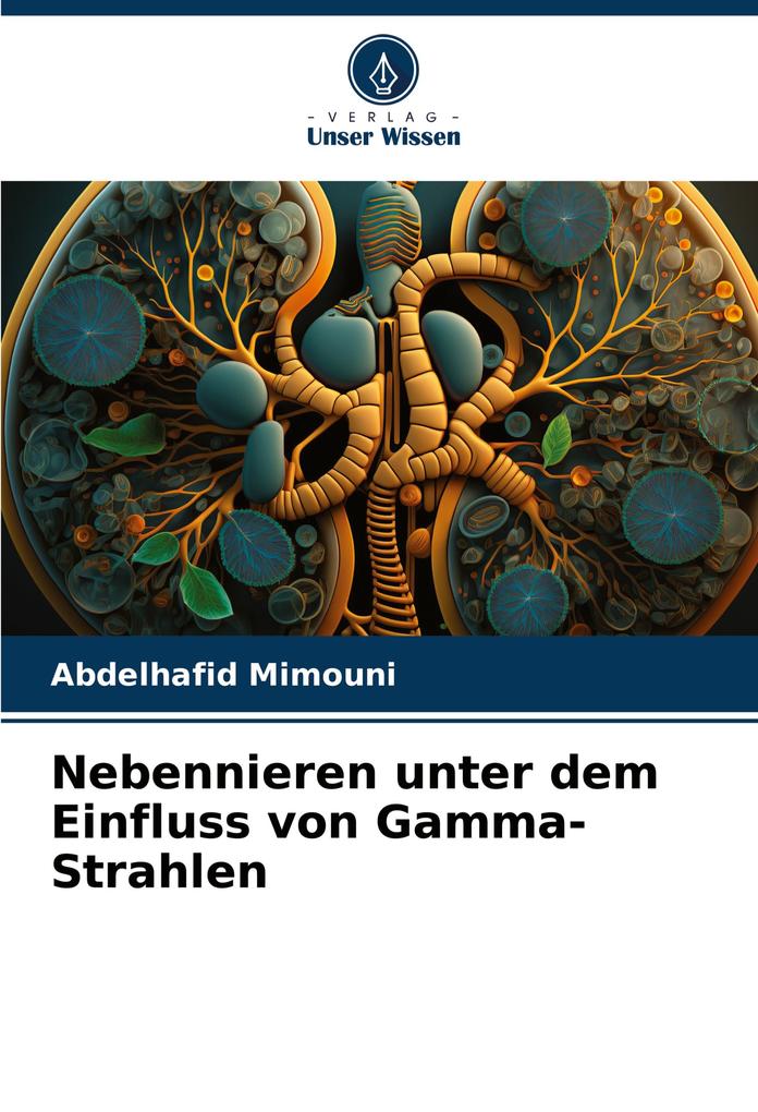 Nebennieren unter dem Einfluss von Gamma-Strahlen
