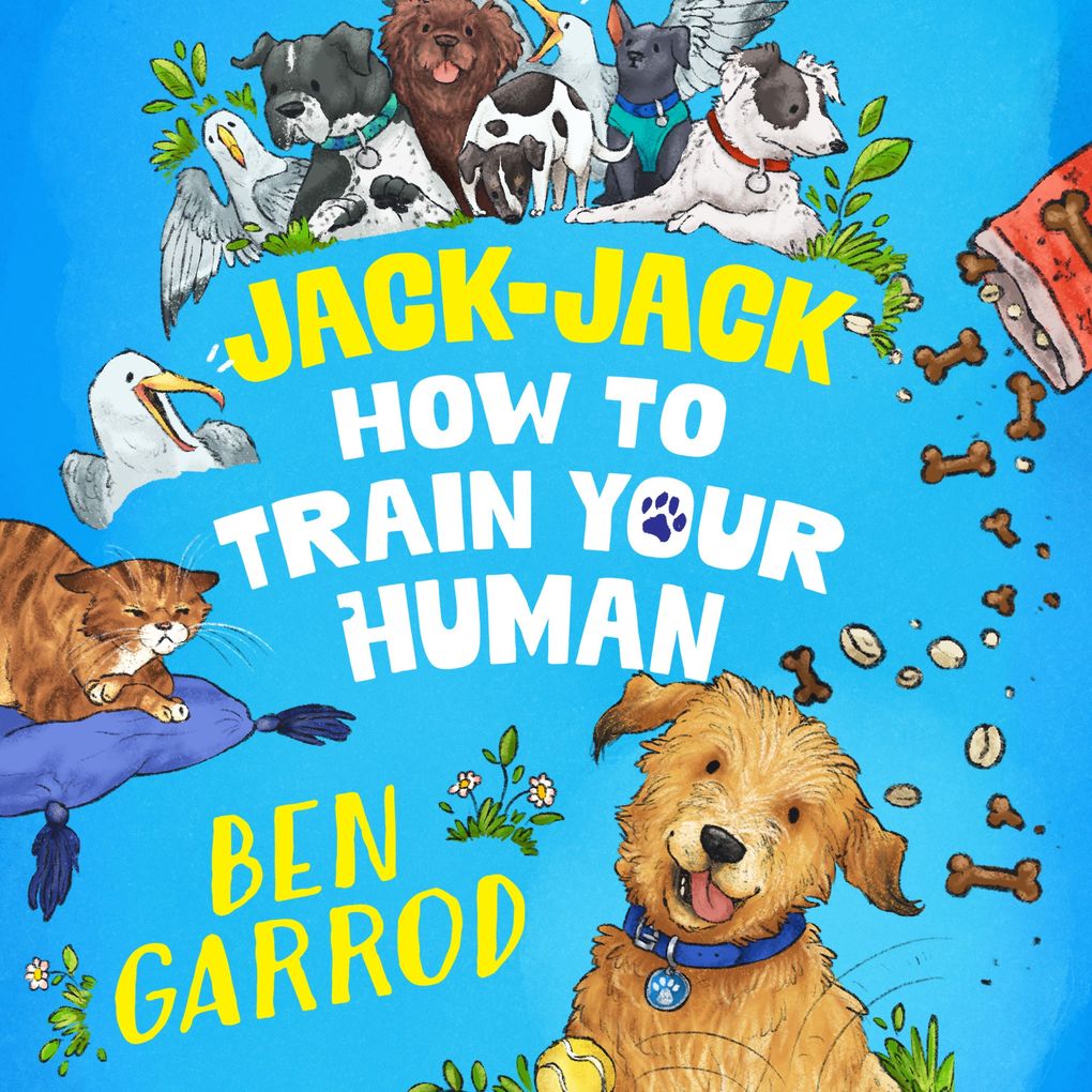 Jack-Jack How to Train Your Human