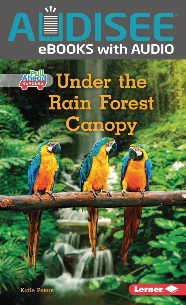 Under the Rain Forest Canopy