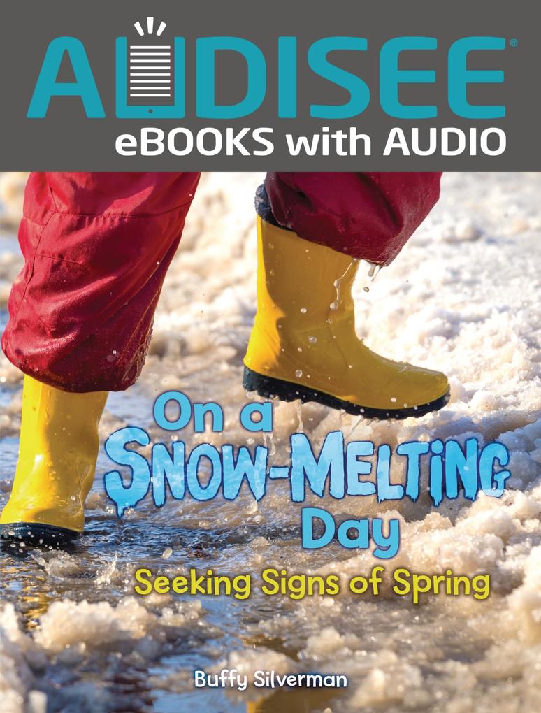On a Snow-Melting Day