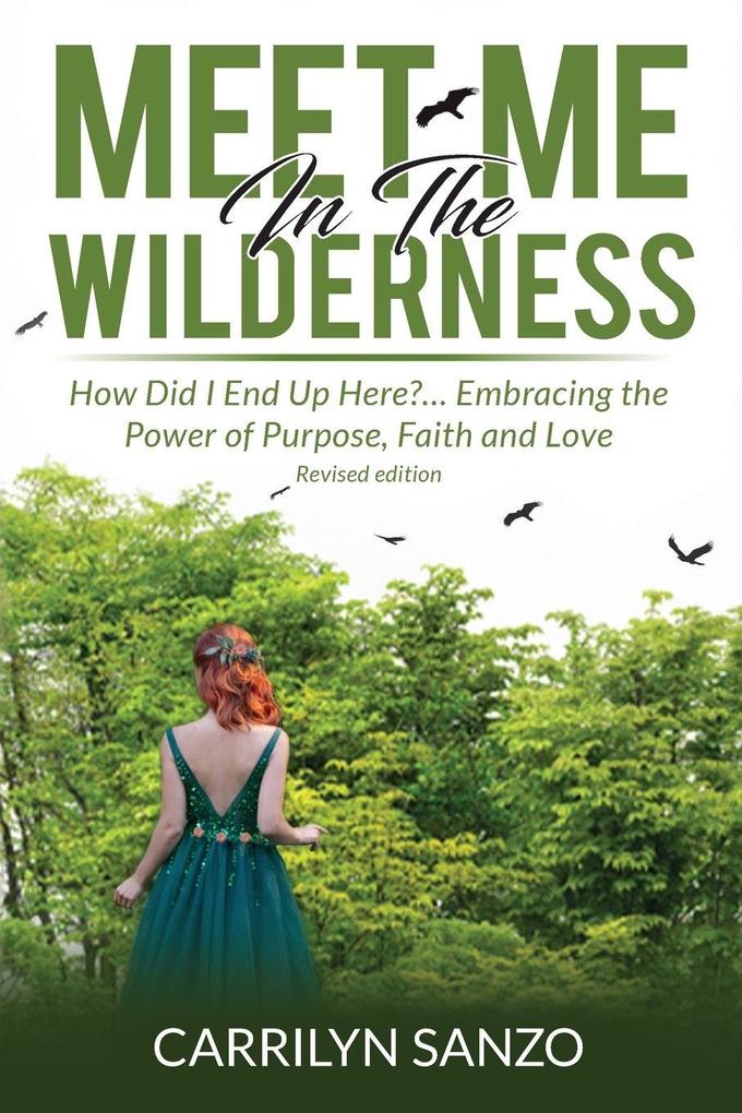Meet Me In The Wilderness