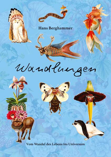 Wandlungen