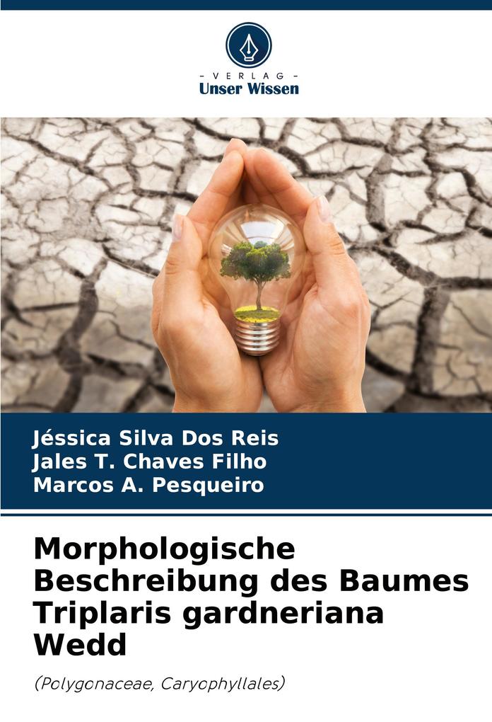 Morphologische Beschreibung des Baumes Triplaris gardneriana Wedd
