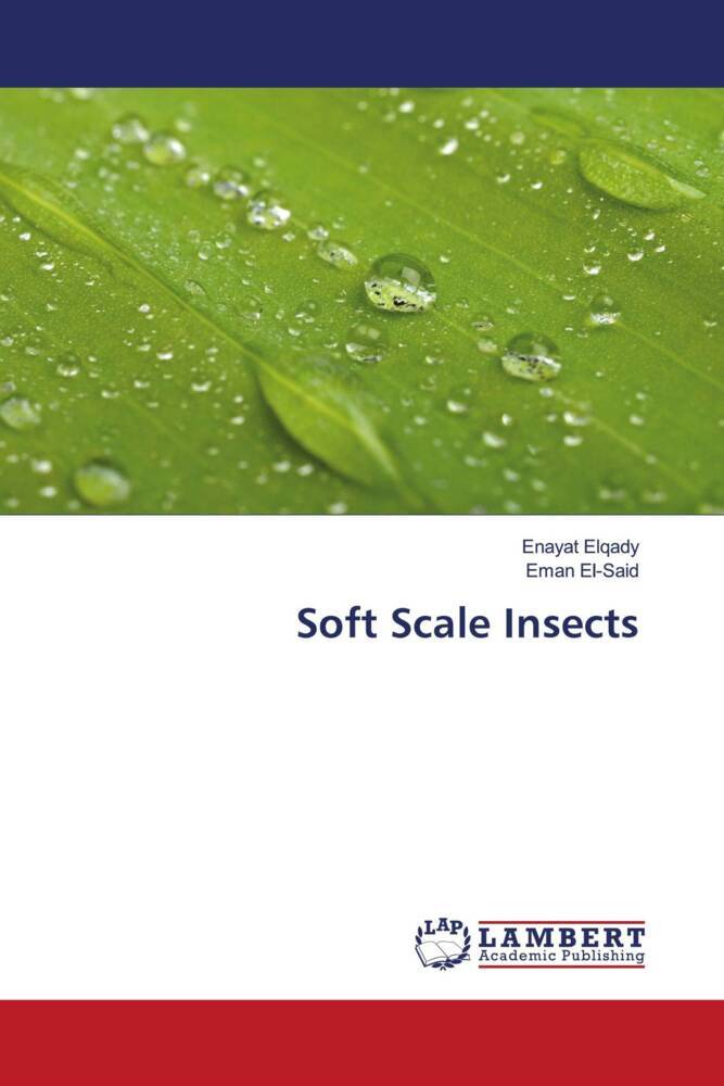 Soft Scale Insects