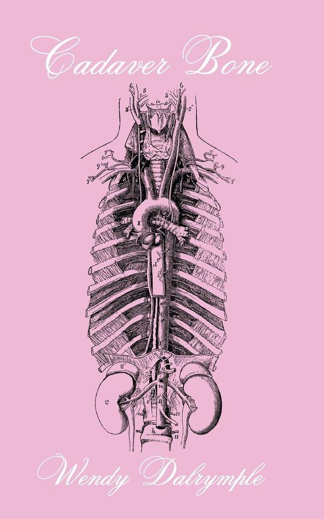 Cadaver Bone