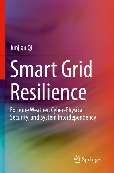 Smart Grid Resilience