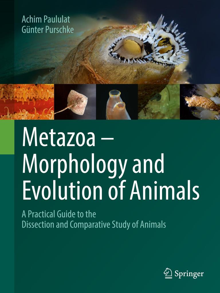 Metazoa - Morphology and Evolution of Animals