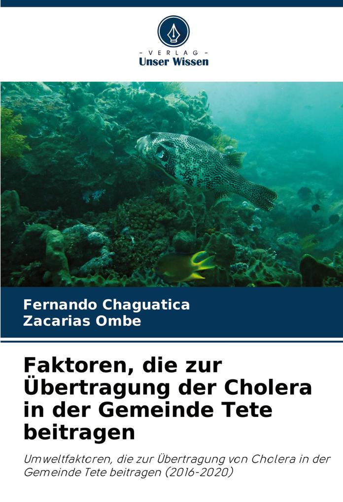 Faktoren die zur Übertragung der Cholera in der Gemeinde Tete beitragen
