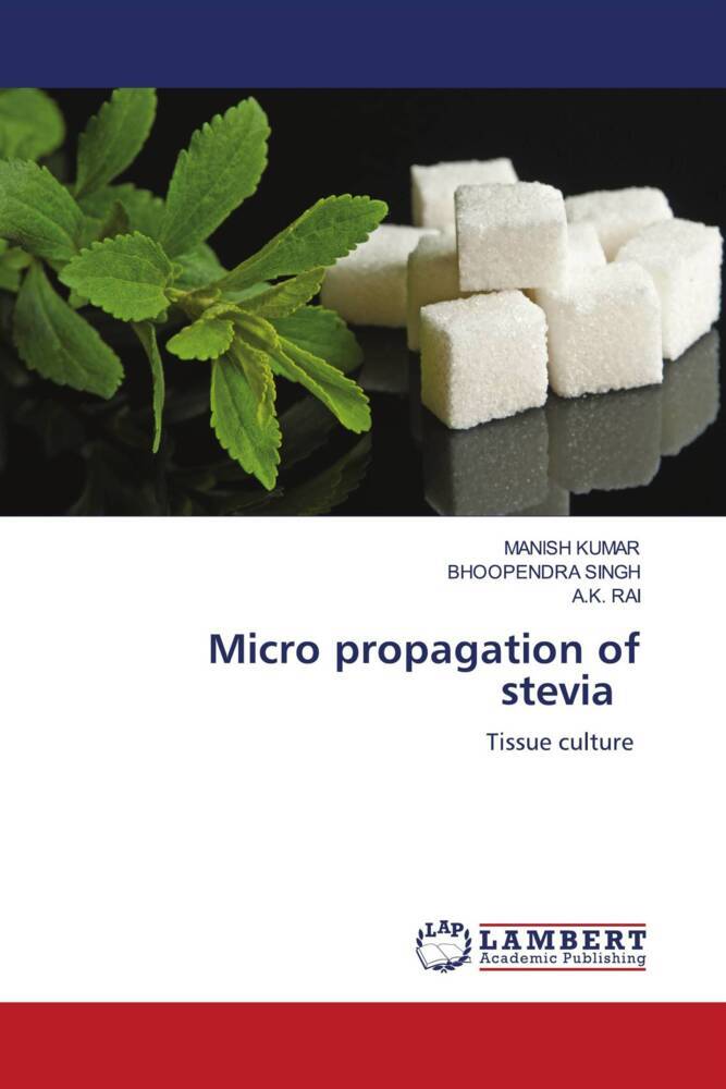 Micro propagation of stevia