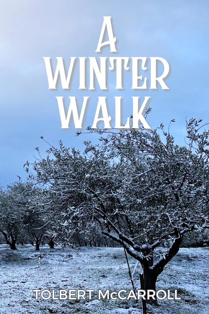 Winter Walk