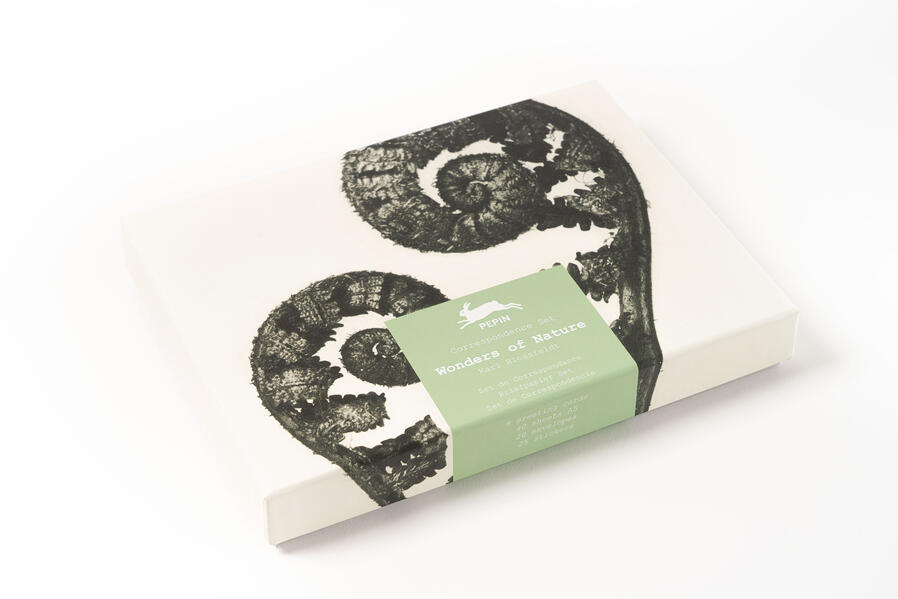 Pepin Press Wonders Of Nature (Blossfeldt)