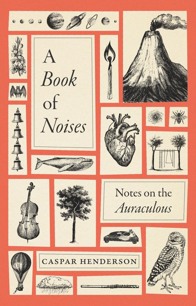 University of Chicago Press Book Of Noises