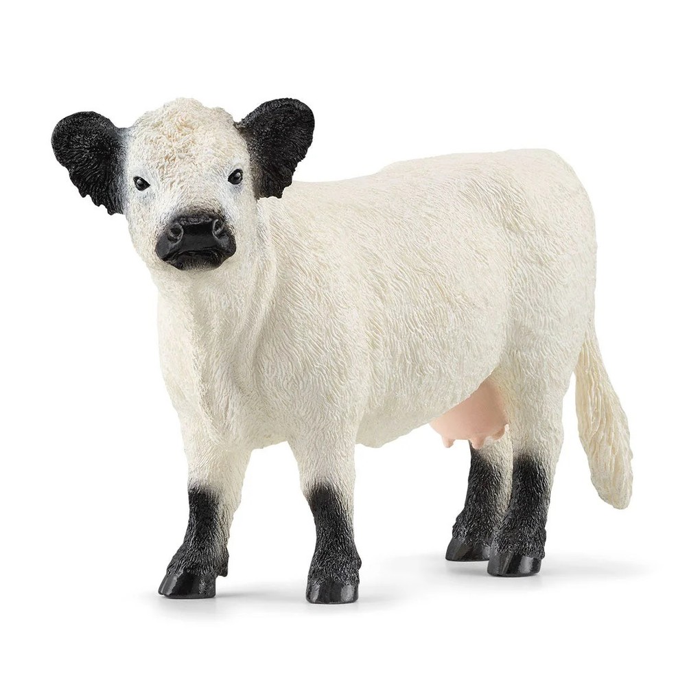Schleich 13960 - Farm World Galloway Kuh Tierfigur Länge: 14 cm
