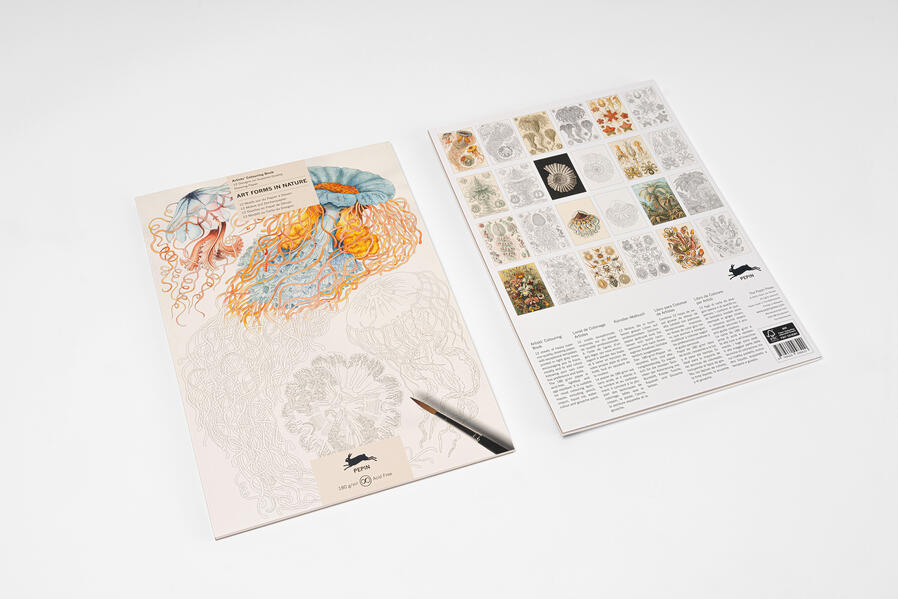 Pepin Press B.V. Art Forms In Nature