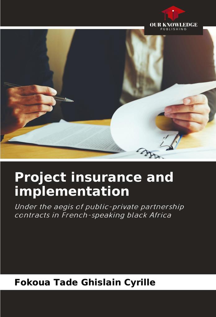 Project insurance and implementation