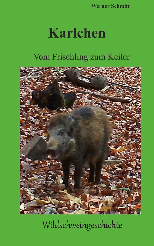 Karlchen vom Frischling zum Keiler