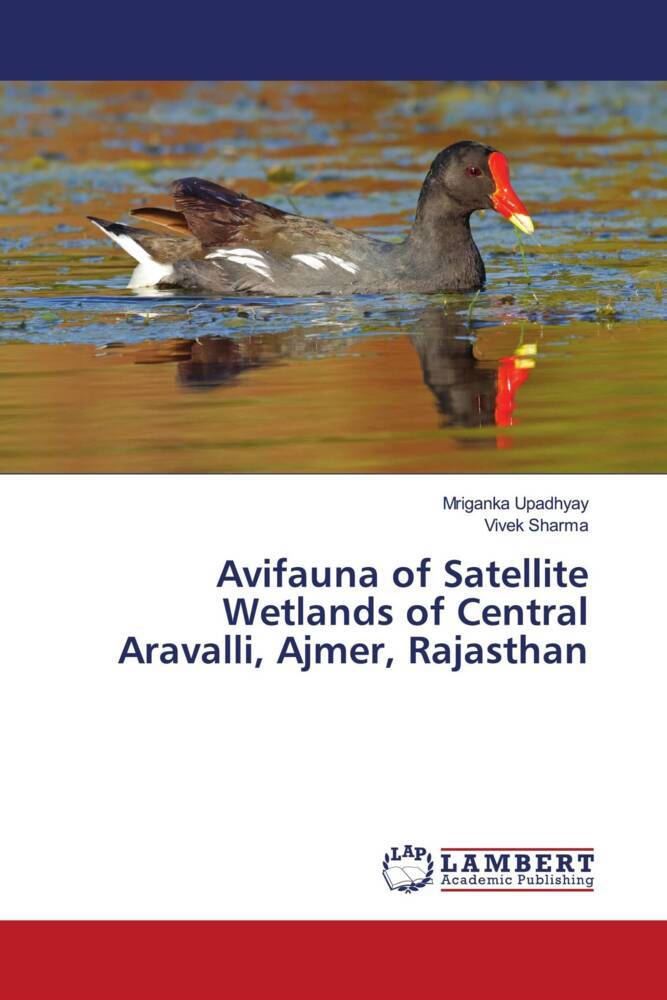 Avifauna of Satellite Wetlands of Central Aravalli Ajmer Rajasthan