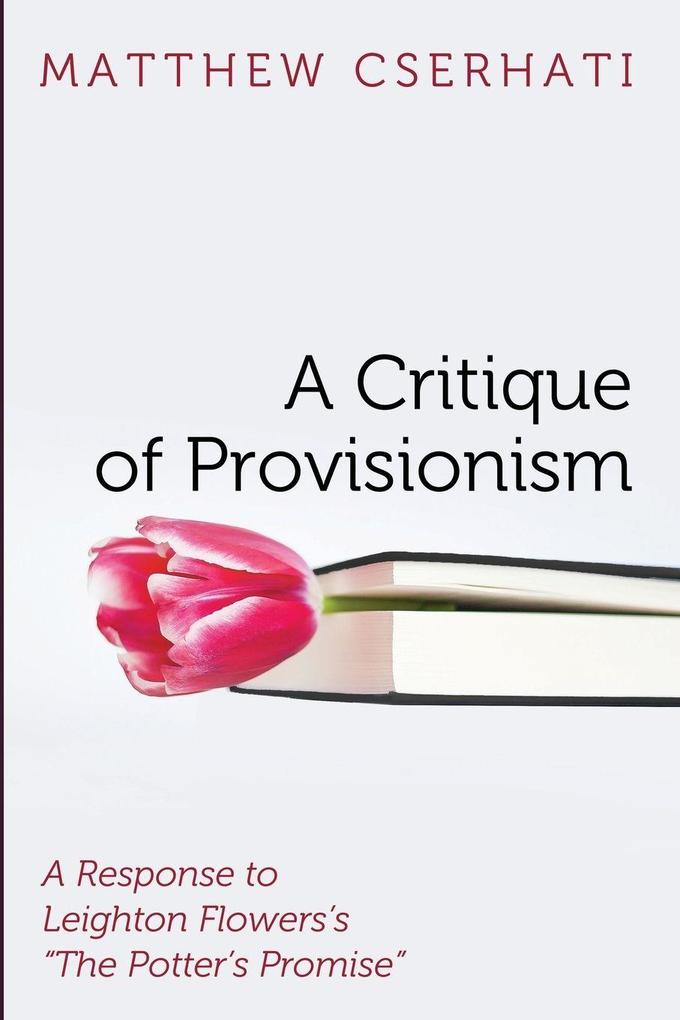 A Critique of Provisionism