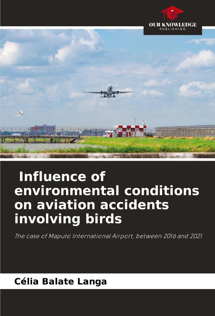 Influence of environmental conditions on aviation accidents involving birds