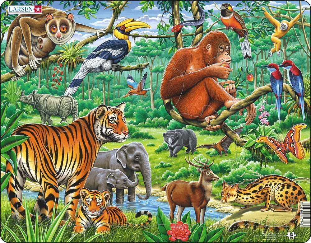 Puzzle - Dschungel