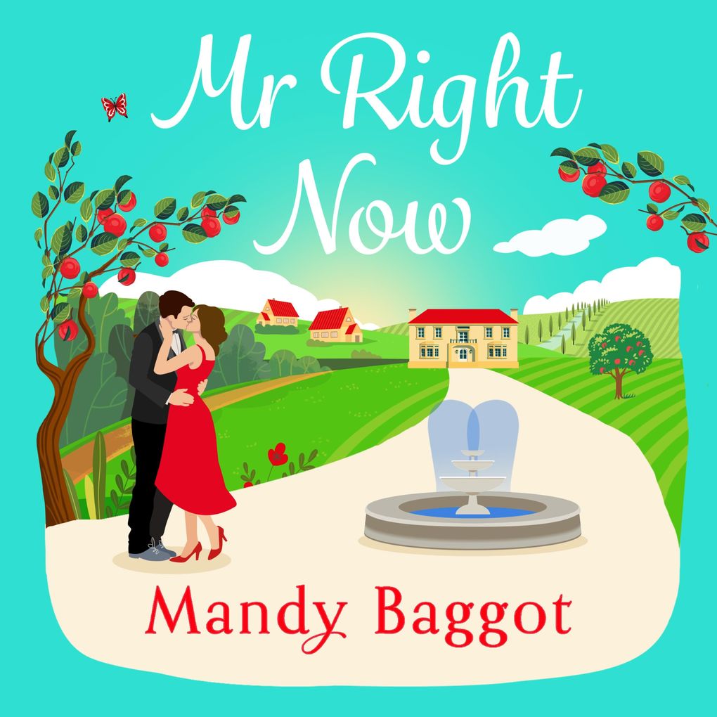 Mr Right Now