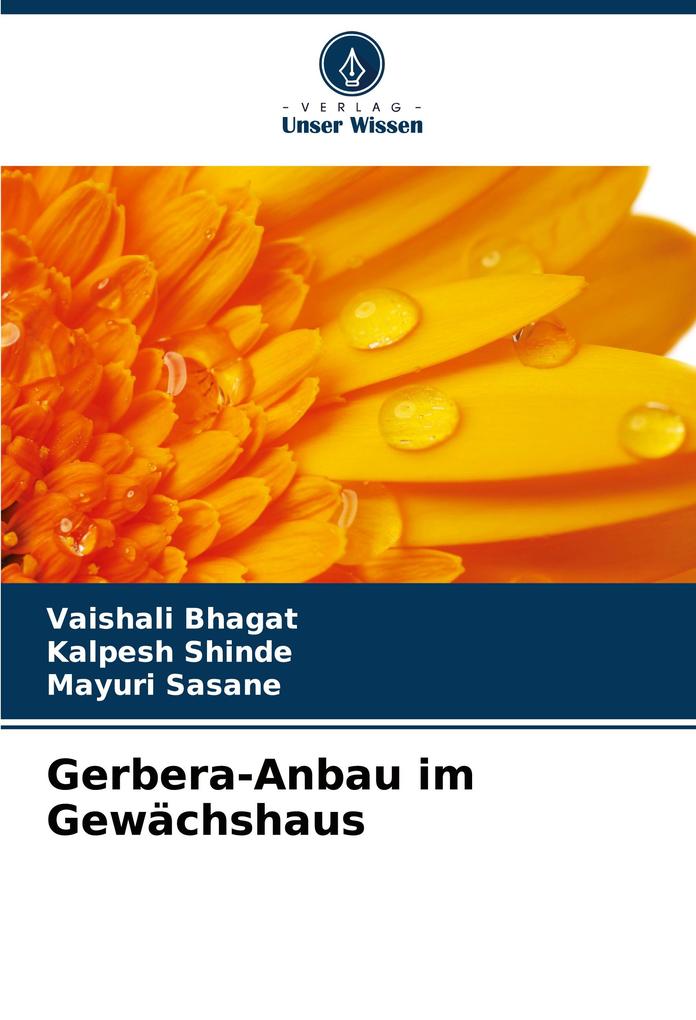 Gerbera-Anbau im Gewächshaus