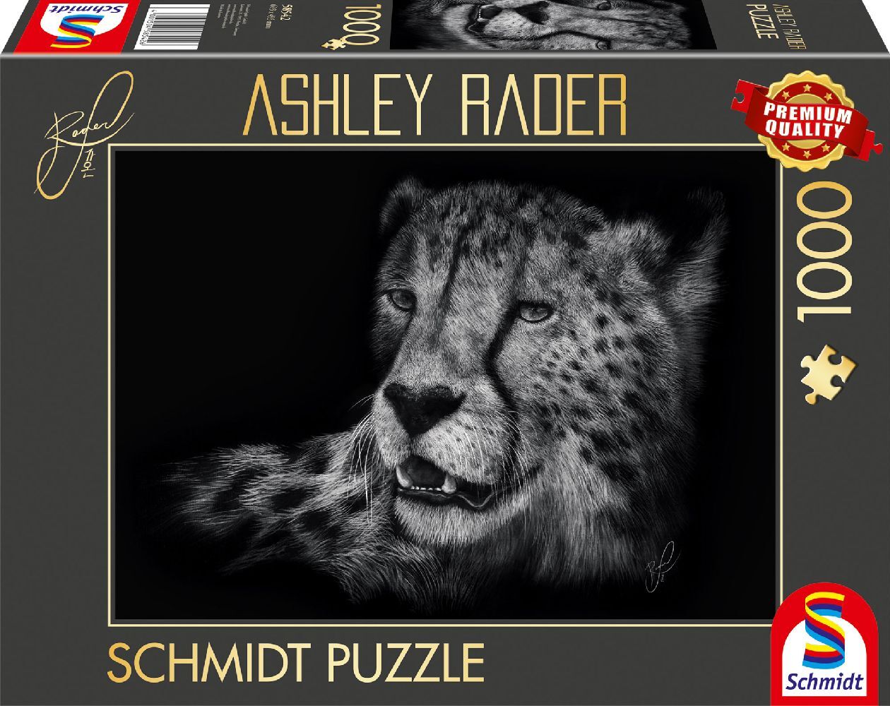 Speed Gepard Im Zeichen der Anmut