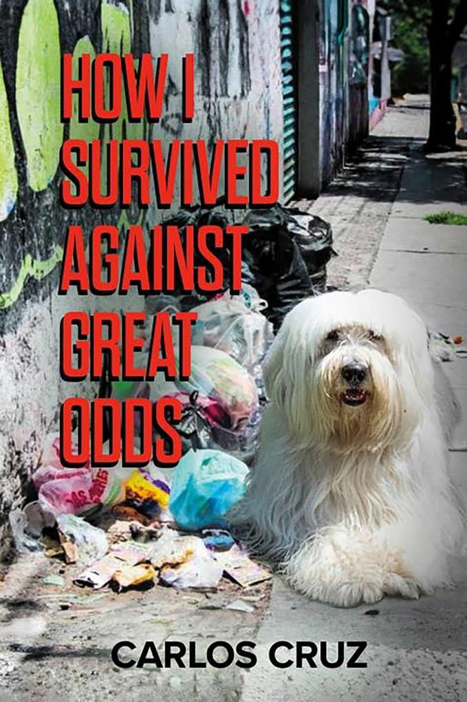 How I Survived Against Great Odds