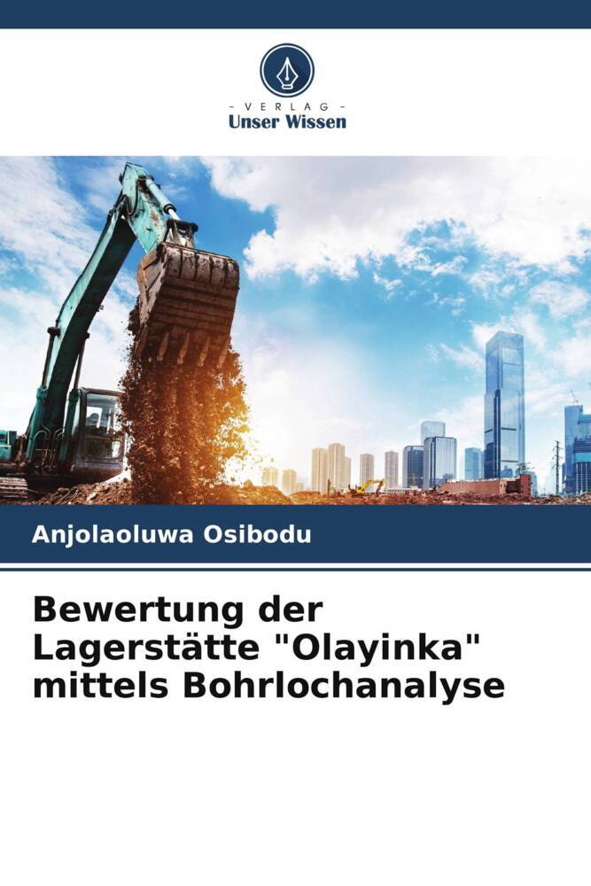 Bewertung der Lagerstätte 'Olayinka' mittels Bohrlochanalyse