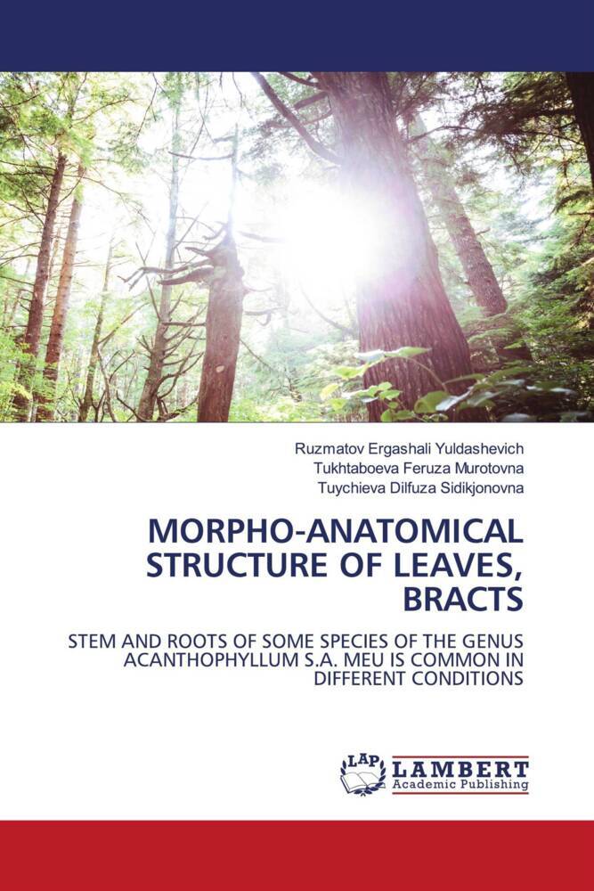 MORPHO-ANATOMICAL STRUCTURE OF LEAVES BRACTS