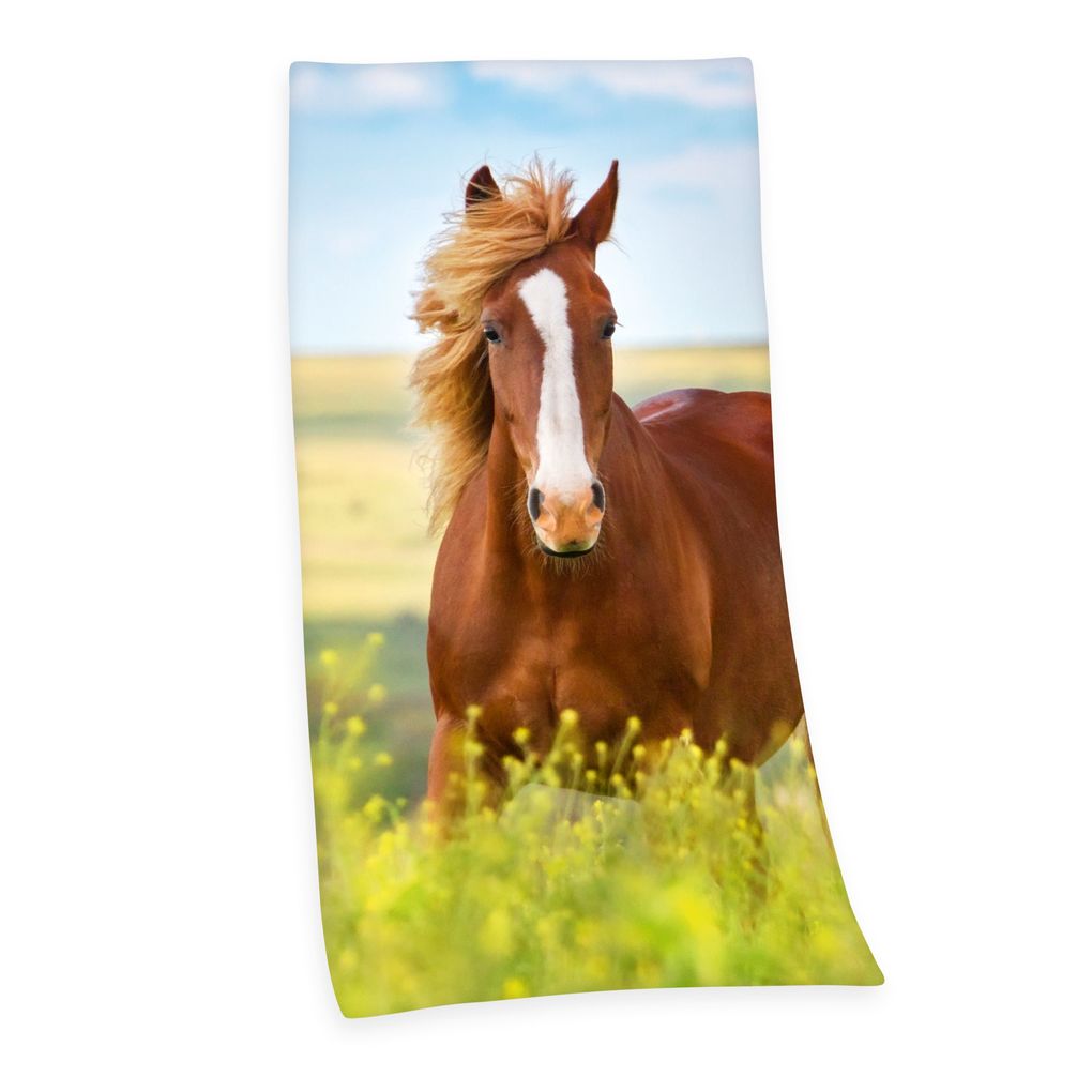 Young Collection 6124206516 - Pferd Velourstuch 75x150 cm 100% Baumwolle