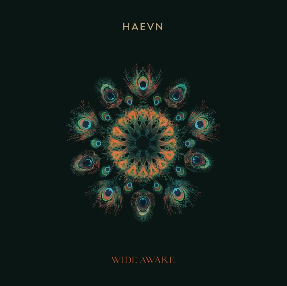 Wide Awake (Gatefold Black Vinyl)