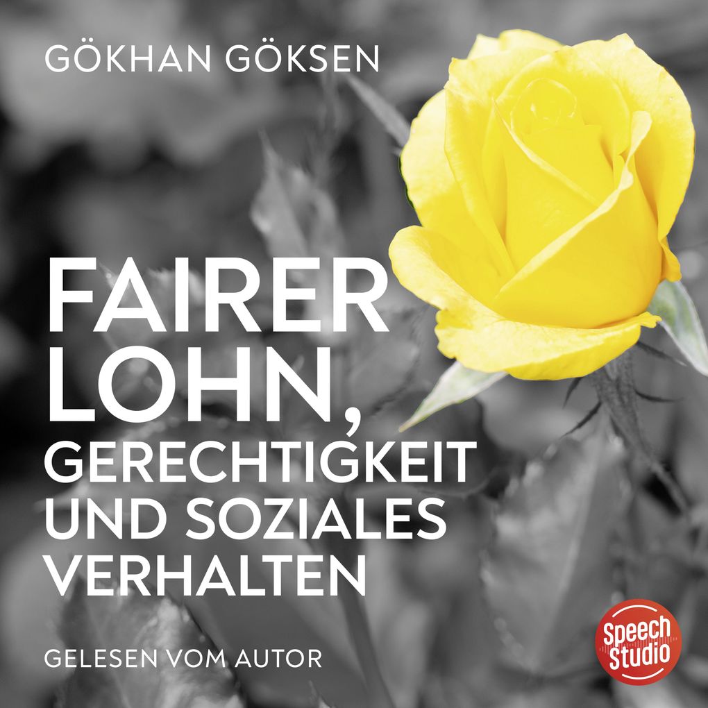 Fairer Lohn Gerechtigkeit und soziales Verhalten