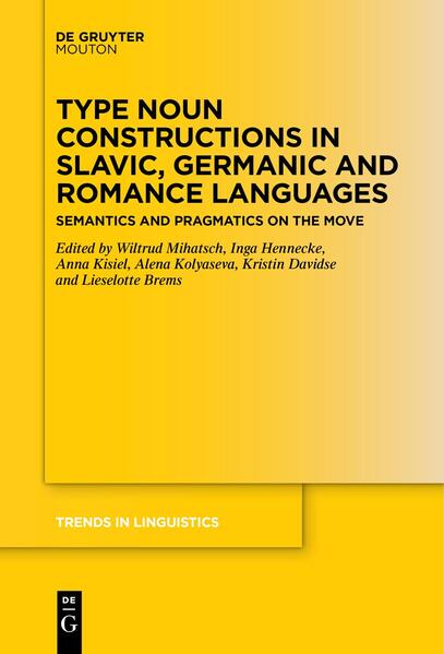 Type Noun Constructions in Slavic Germanic and Romance Languages