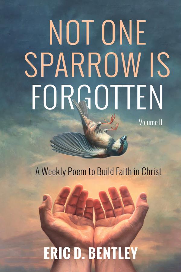 Not One Sparrow is Forgotten Volume II