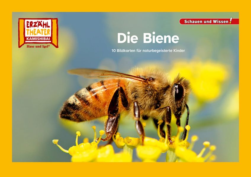 Die Biene / Kamishibai Bildkarten