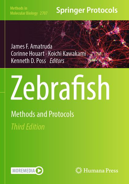 Zebrafish