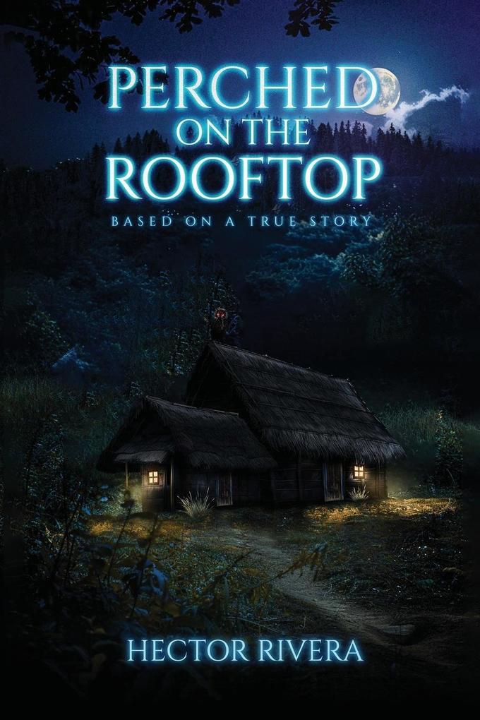Perched On The Rooftop