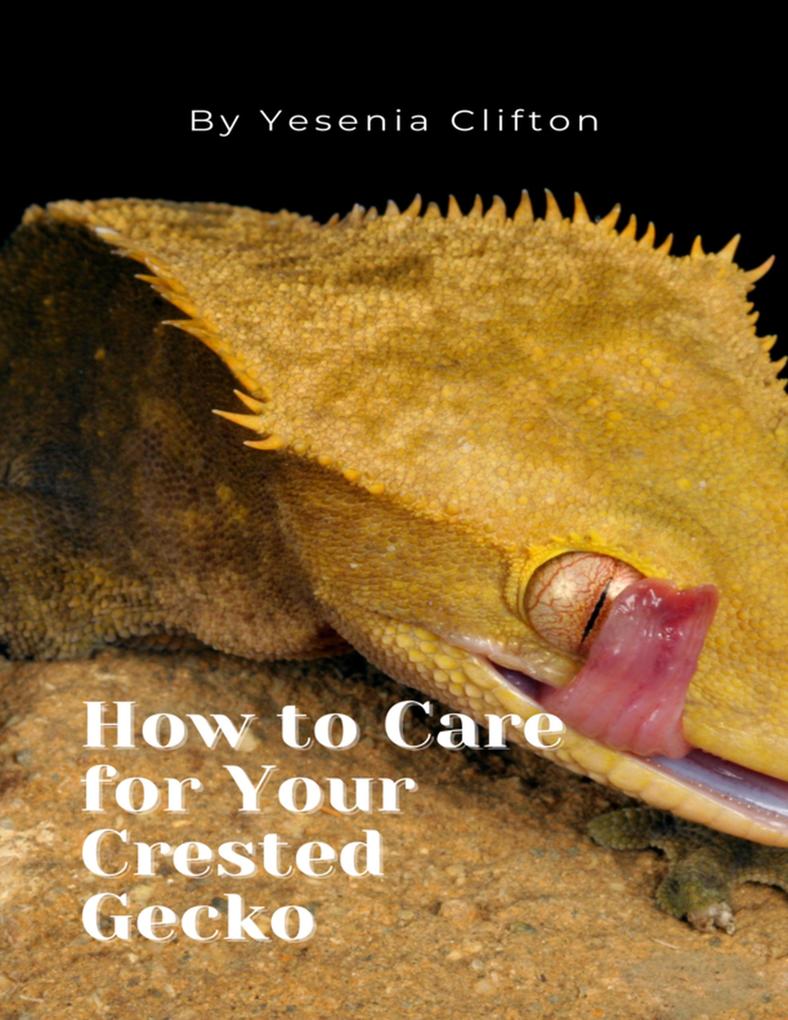 How to Care for Your Crested Gecko