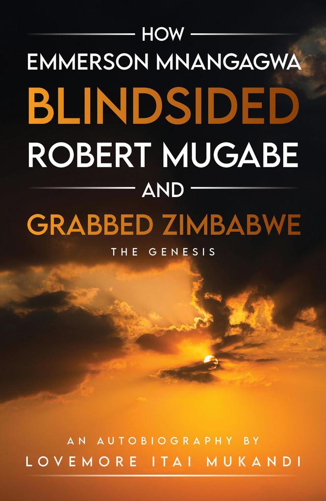 How Emmerson Mnangagwa Blindsided Robert Mugabe and Grabbed Zimbabwe - The Genesis