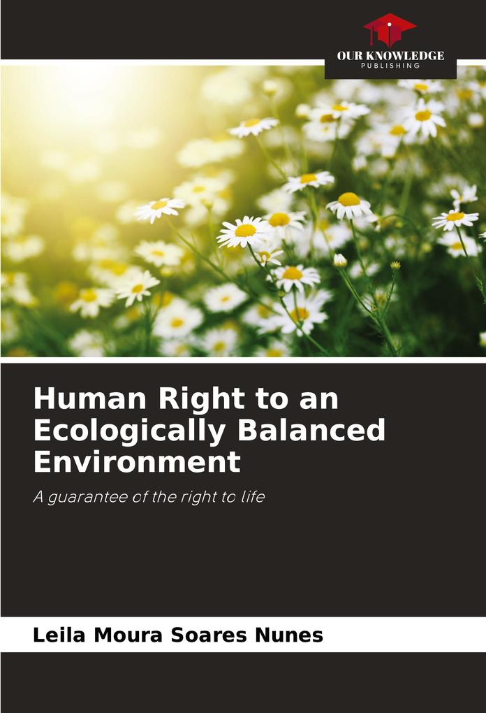 Human Right to an Ecologically Balanced Environment