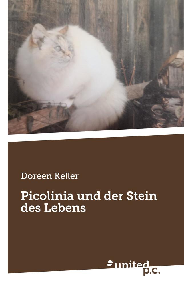 Picolinia und der Stein des Lebens