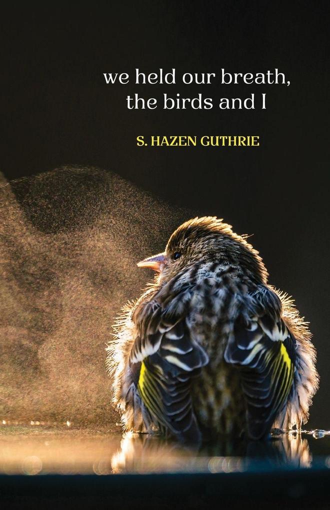 we held our breath the birds and I