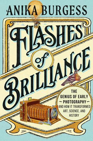 W. W. Norton & Company Flashes Of Brilliance